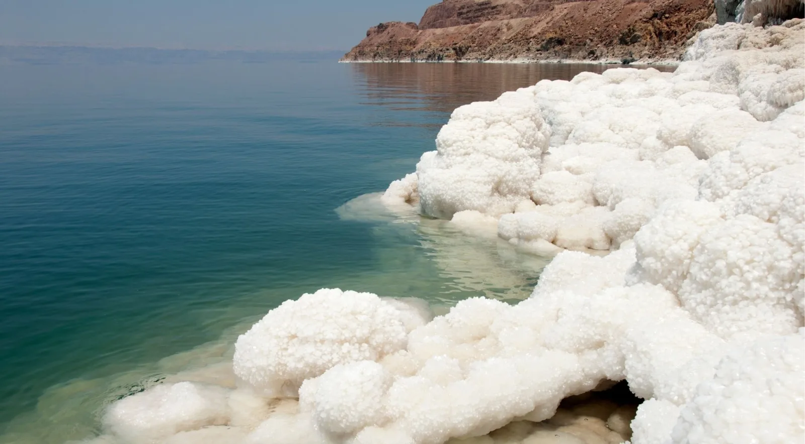 Thick white salt formations built up along the Dead Sea waterline against deep blue water