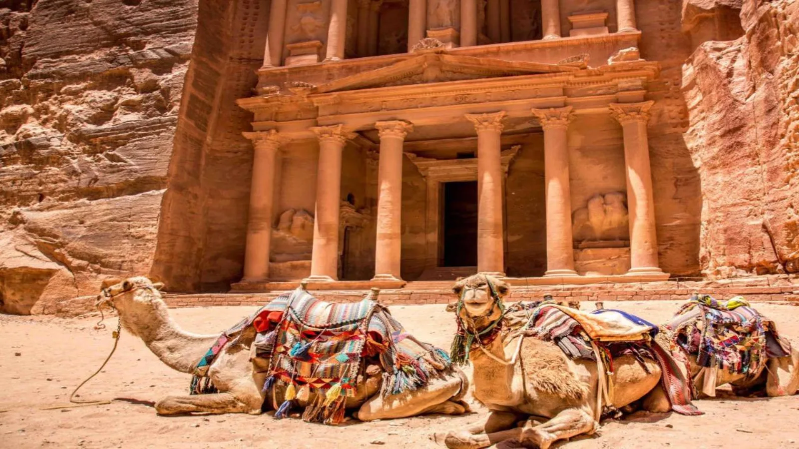 Petra & Dead Sea Private Day Tour from Amman