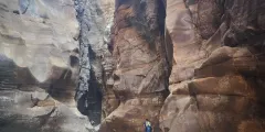 Guest photo from review